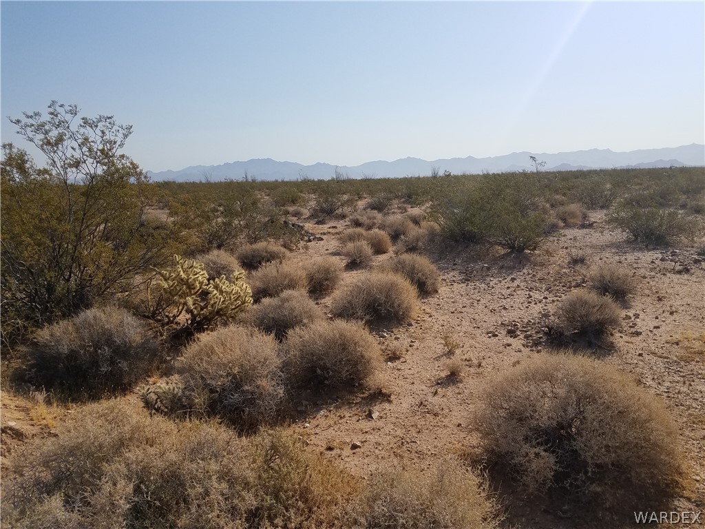 3998 South Butch Cassidy Road Yucca, AZ 86438 - Photo 15 of 21 a view of a big yard with mountains in the background