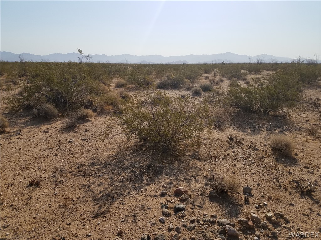 3998 South Butch Cassidy Road Yucca, AZ 86438 - Photo 18 of 21 a view of a dry yard