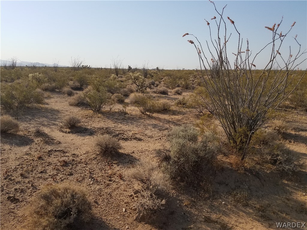 3998 South Butch Cassidy Road Yucca, AZ 86438 - Photo 5 of 21 a view of a dry yard with lots of trees