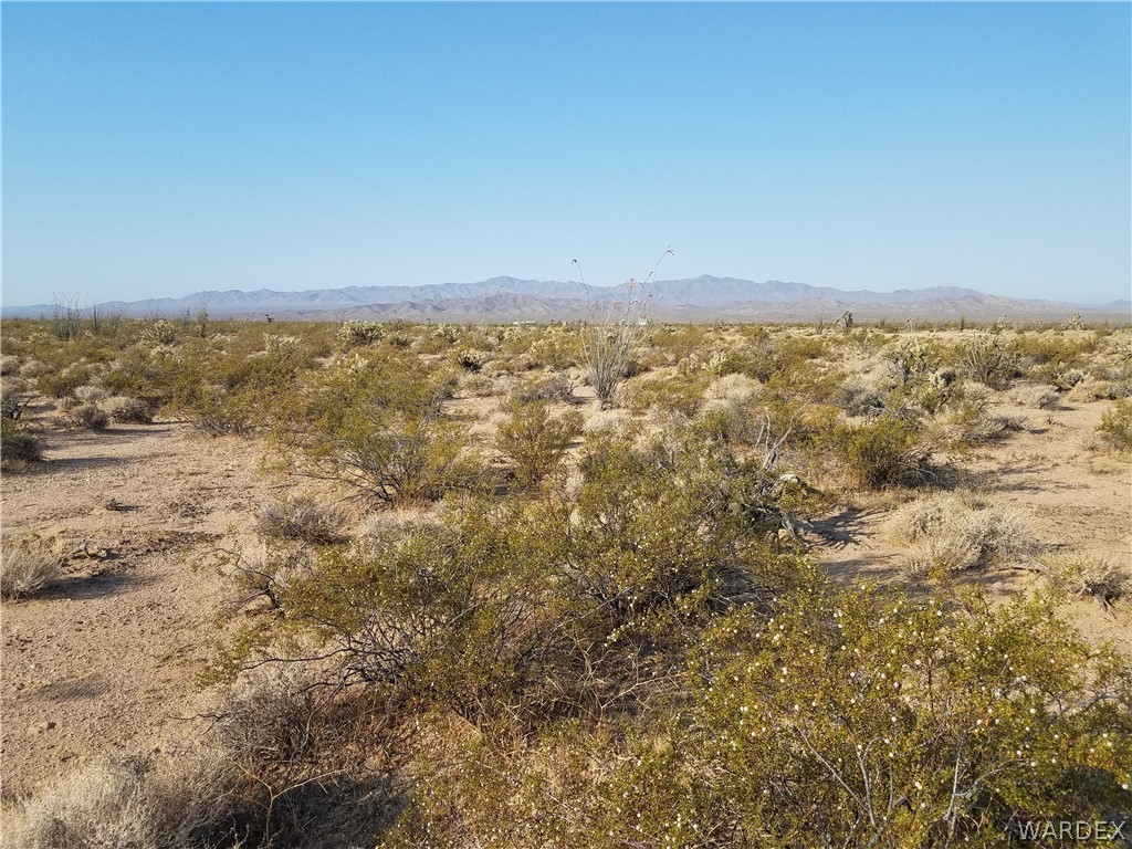 3998 South Butch Cassidy Road Yucca, AZ 86438 - Photo 7 of 21 a view of an ocean