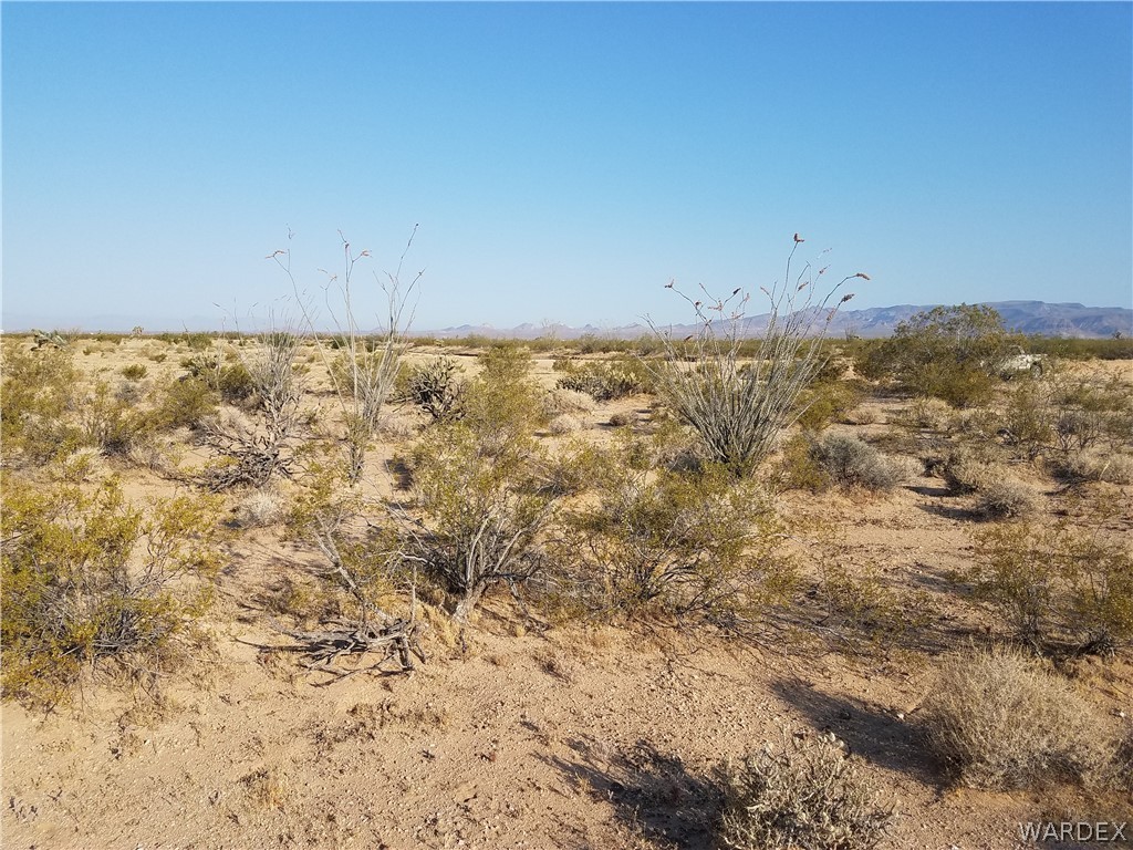 3998 South Butch Cassidy Road Yucca, AZ 86438 - Photo 8 of 21 a view of a room