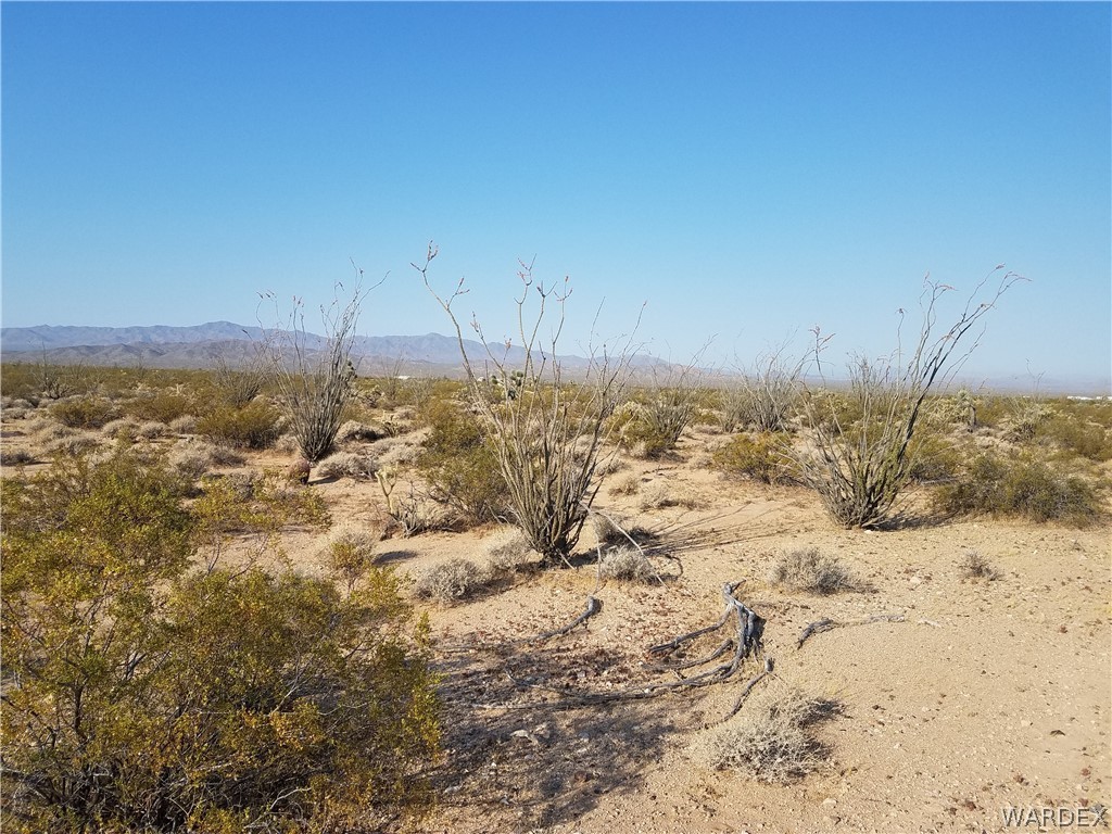 3998 South Butch Cassidy Road Yucca, AZ 86438 - Photo 9 of 21