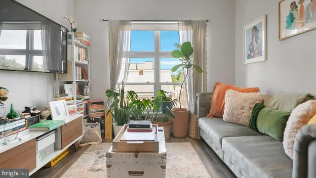 a living room with furniture and a potted plant