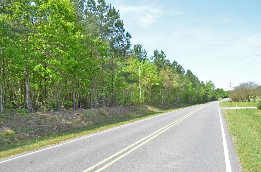 7-8 Mollie Mooney Road Roxboro, NC 27574 - Photo 1 of 10 a view of a yard with large trees