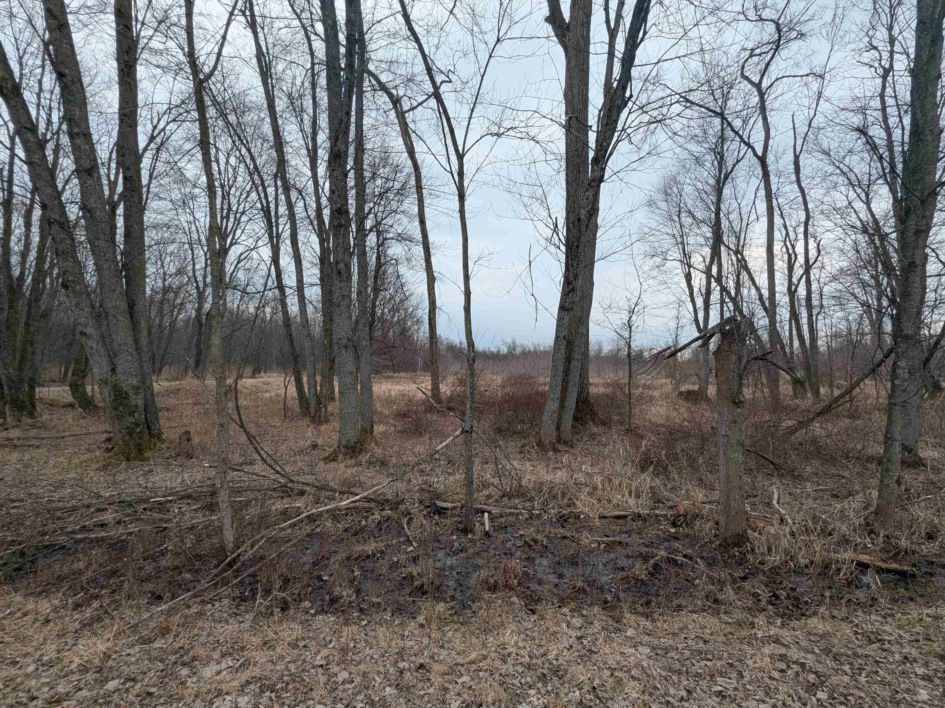 4438 Reynolds Road Turner, MI 48765 - Photo 3 of 40
