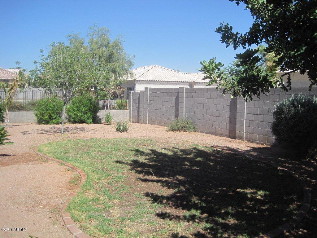 2622 East Pecan Road Phoenix, AZ 85040 - Photo 9 of 9 Pecan back yard