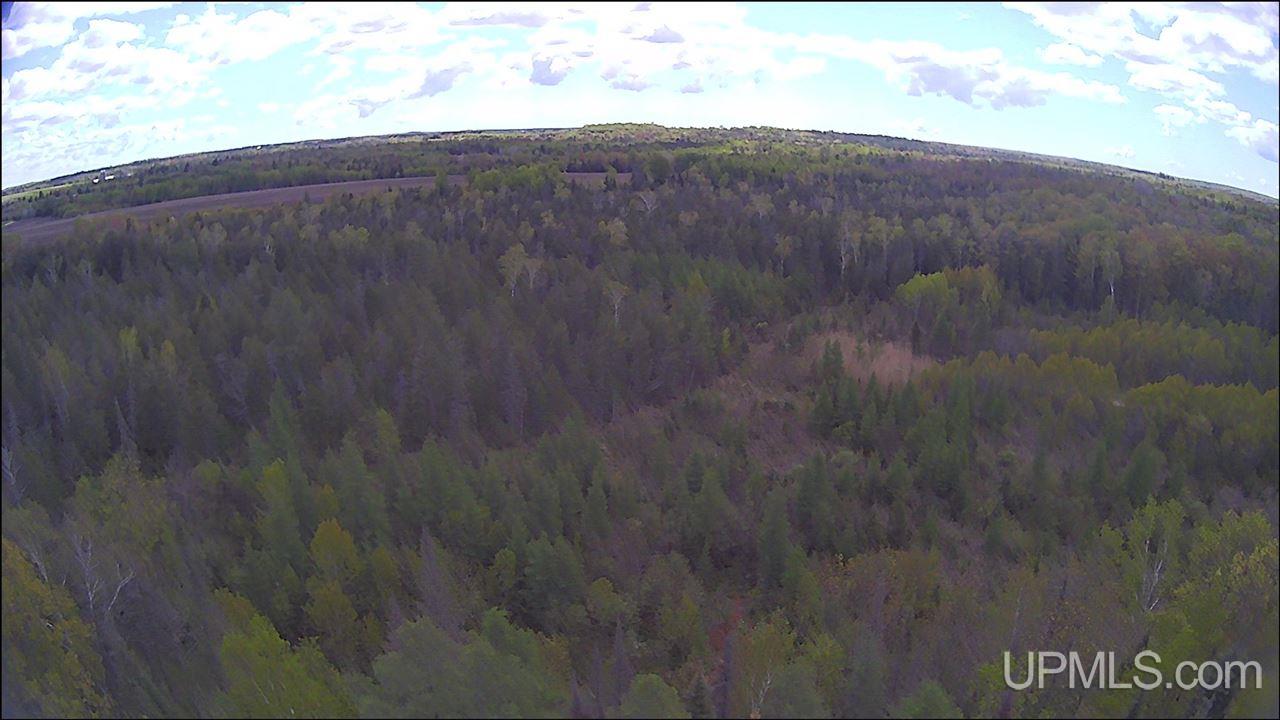 N19598 Swede Road Perronville, MI 49873 - Photo 31 of 59