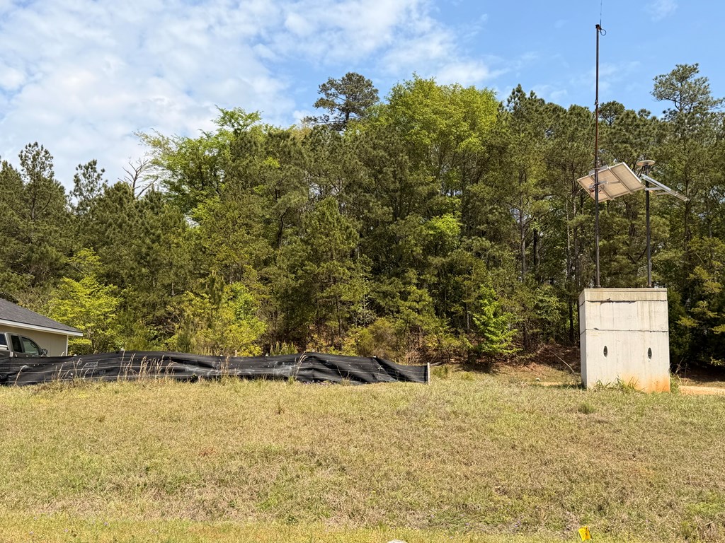 4701 Old Cusseta Road Columbus, GA 31903 - Photo 2 of 10 a view of a yard