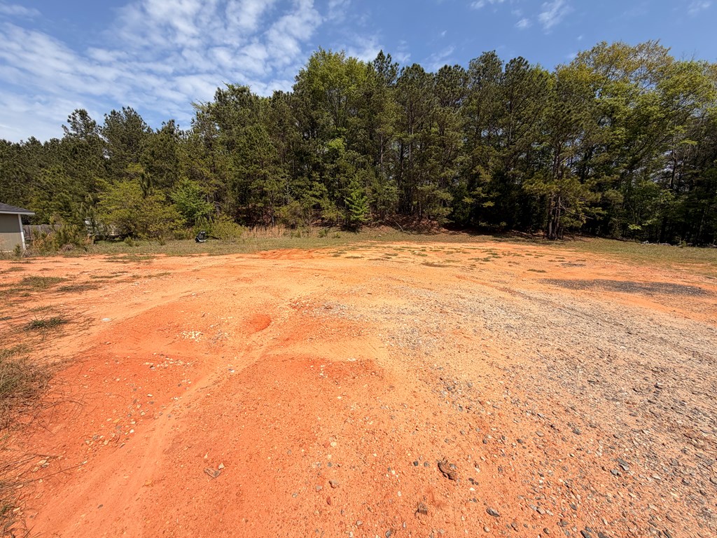 4701 Old Cusseta Road Columbus, GA 31903 - Photo 3 of 10 a view of empty space and mountain view