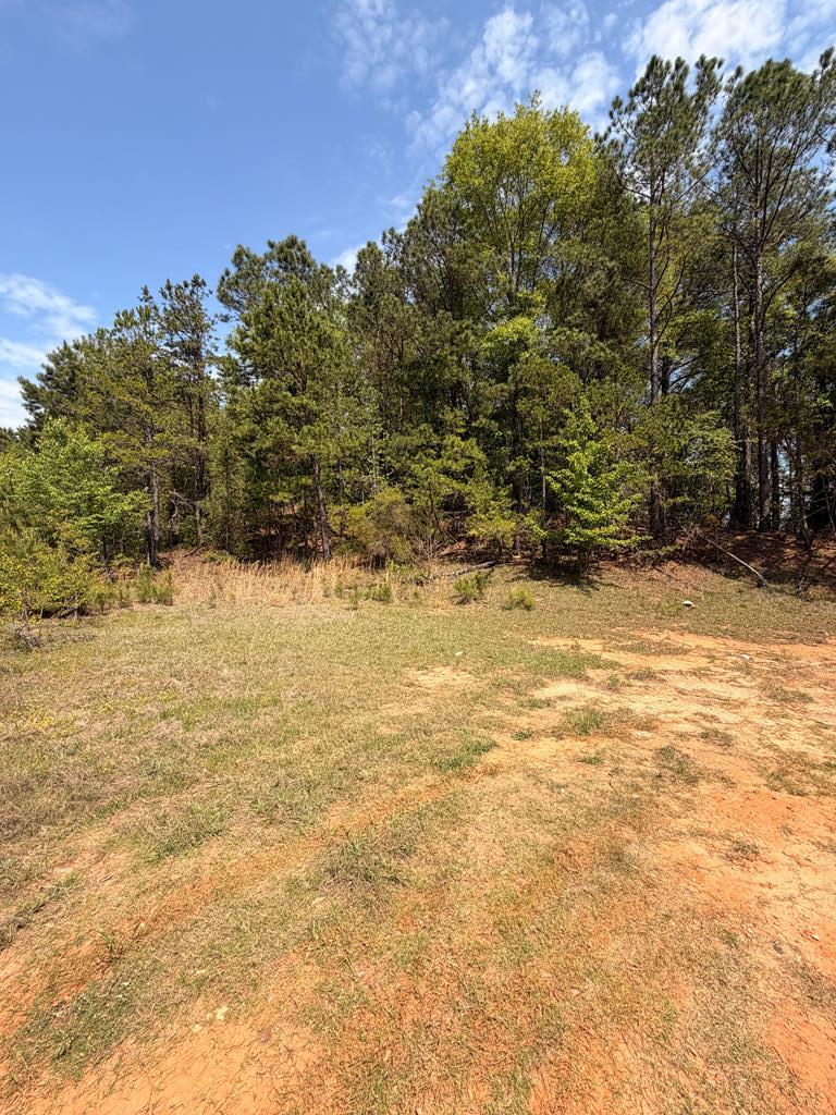 4701 Old Cusseta Road Columbus, GA 31903 - Photo 6 of 10 a view of a yard