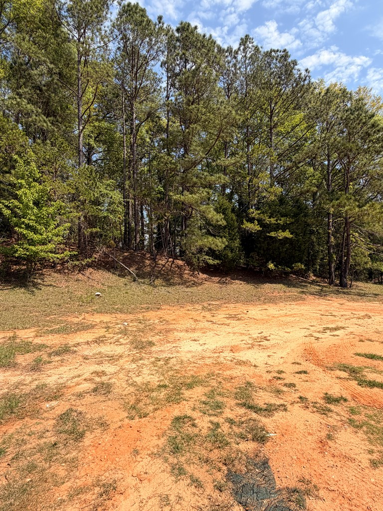 4701 Old Cusseta Road Columbus, GA 31903 - Photo 7 of 10