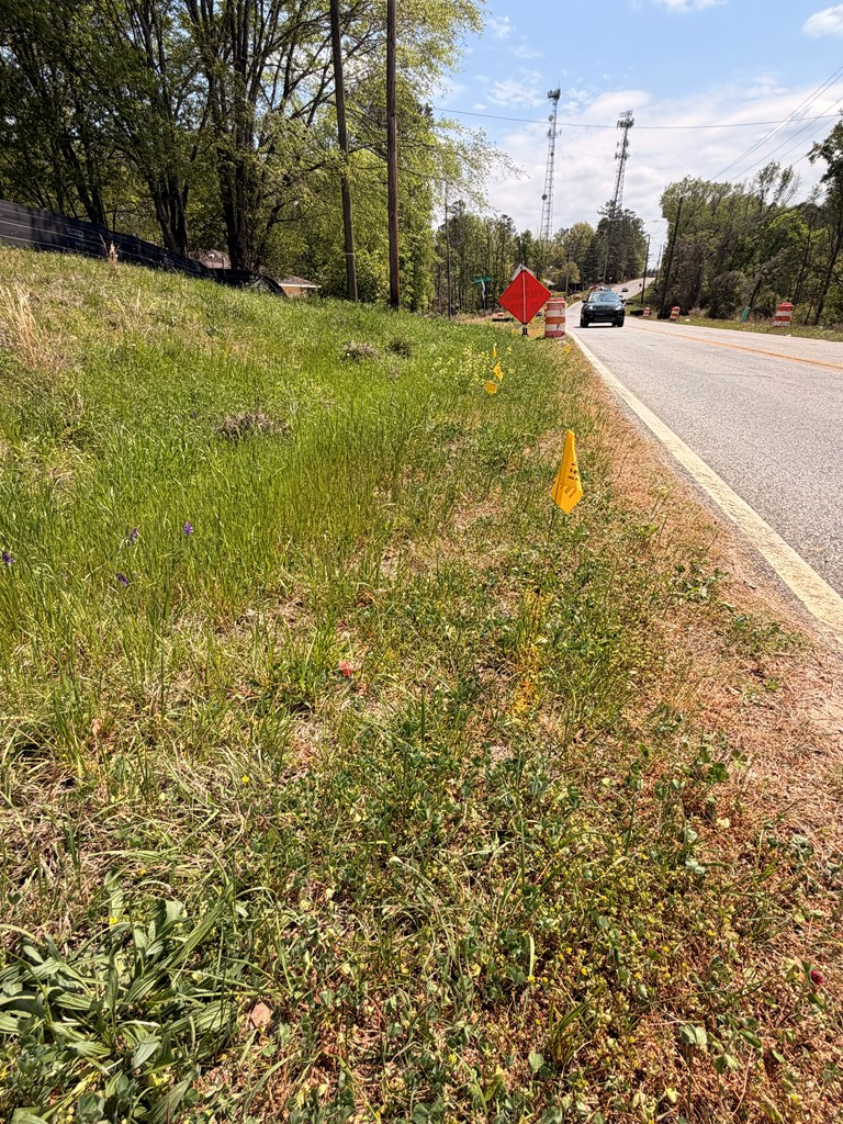 4701 Old Cusseta Road Columbus, GA 31903 - Photo 8 of 10 a view of street with houses