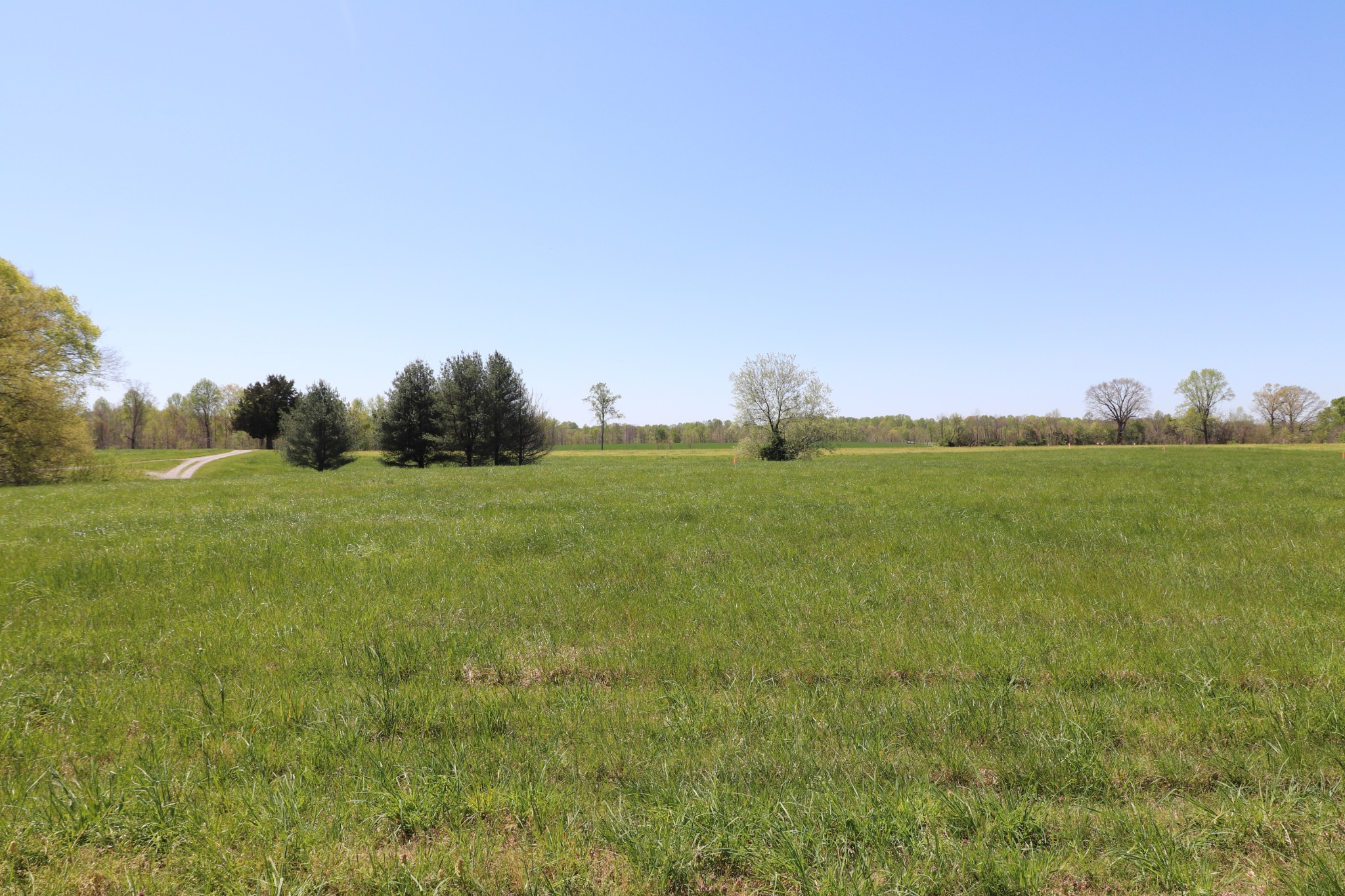 1 Shiloh Road Lafayette, TN 37083 - Photo 9 of 12 Gallery Image 9