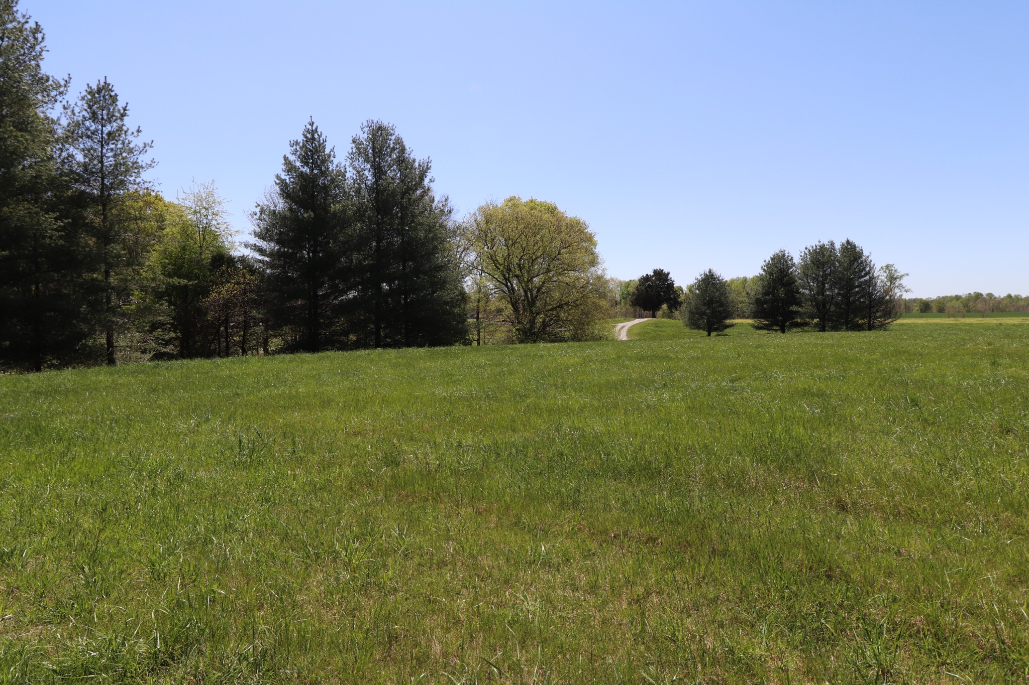 1 Shiloh Road Lafayette, TN 37083 - Photo 10 of 12 Gallery Image 10