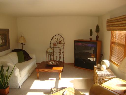 24827 South Ridge Road Elwood, IL 60421 - Photo 4 of 16