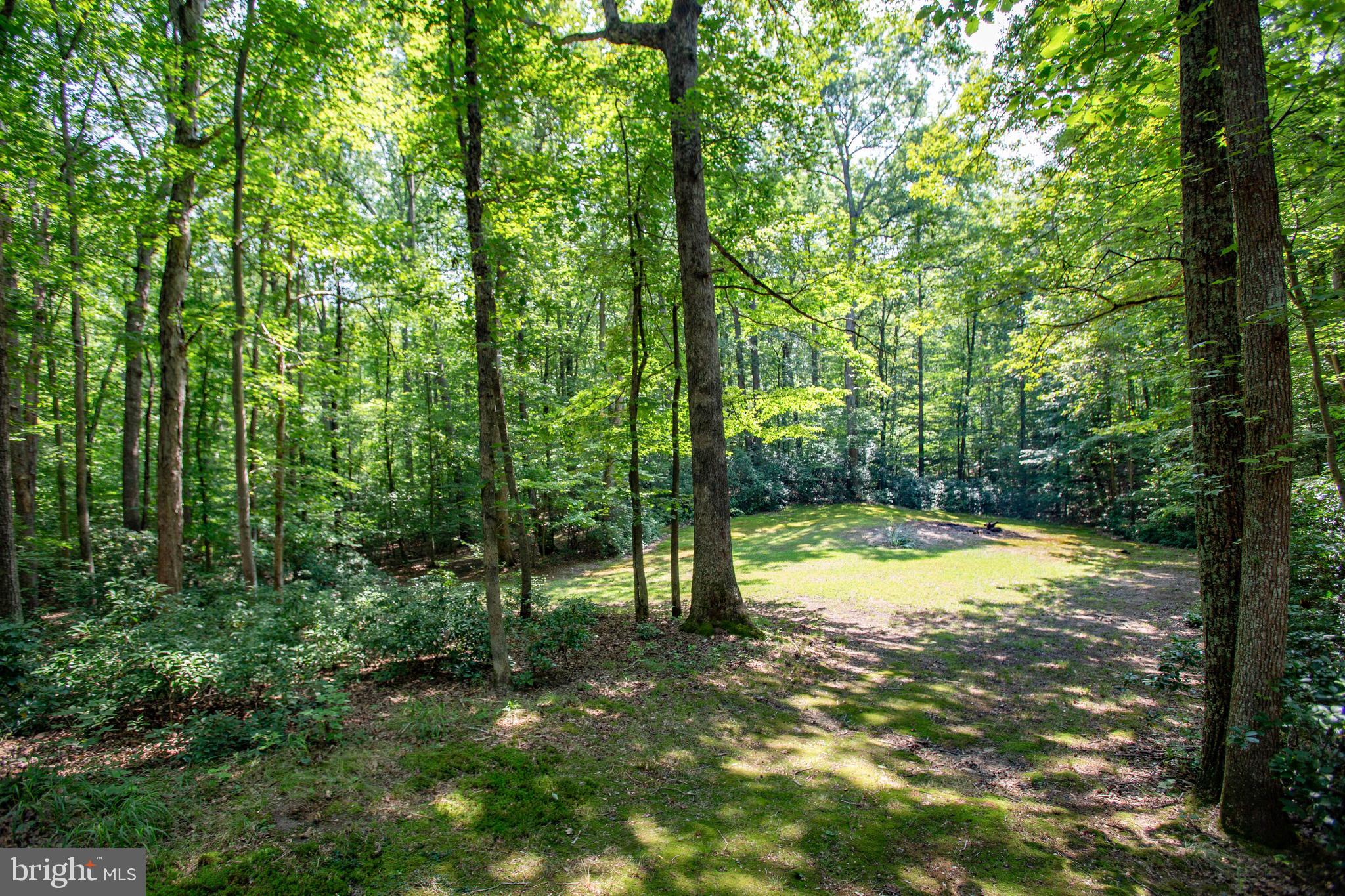 101 Dent Road Stafford, VA 22554 - Photo 48 of 50 Gallery Image 48