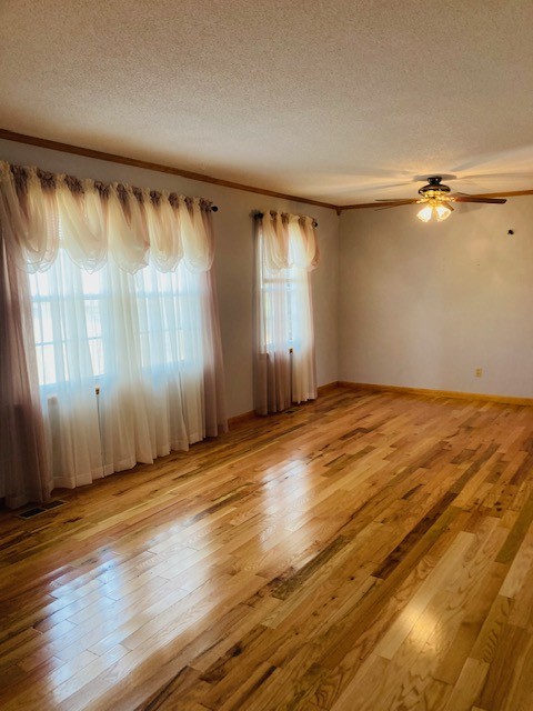 53 Old Quick Road Fayetteville, TN 37334 - Photo 13 of 18 an empty room with wooden floor and windows