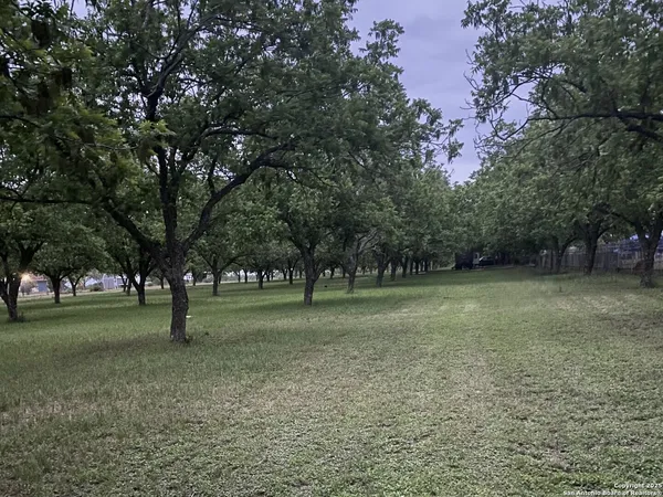 a view of outdoor space with trees