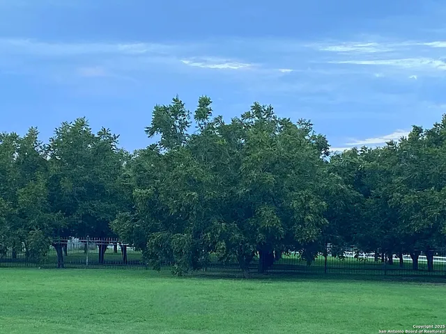 a kitchen with a sink a toilet and a window