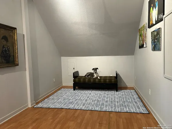 a view of field with tall trees