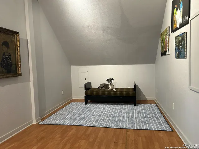 a view of field with tall trees