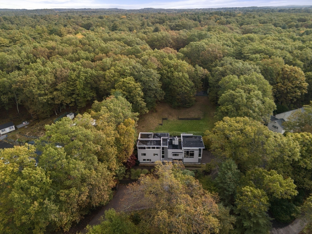 41 Grove Street Wayland, MA 01778 - Photo 22 of 24 a view of a forest with a yard