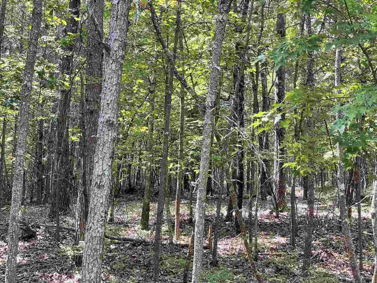 0 Tesnatee Gap Valley Road, Unit 2 Cleveland, GA 30528 - Photo 1 of 1 Gallery Image 1