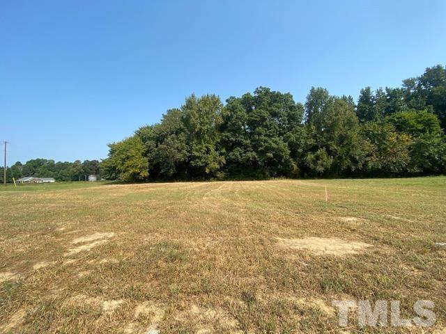 2907 Hobson Road Dunn, NC 28334 - Photo 2 of 3