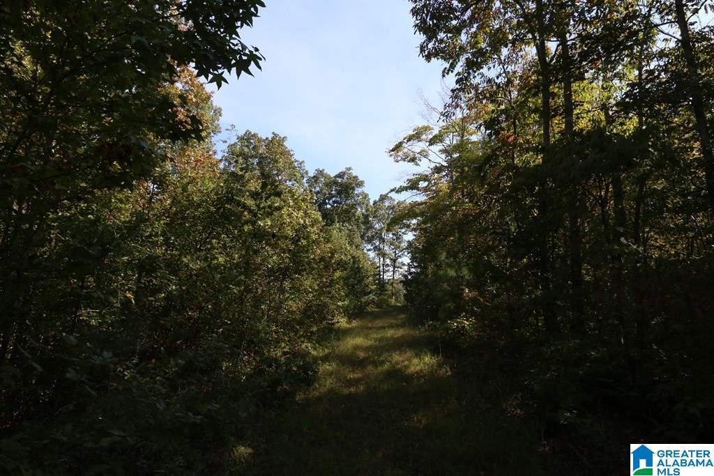 Sprayberry Road, Unit 103 Cropwell, AL 35054 - Photo 17 of 48