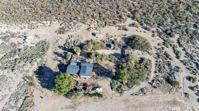 a view of a garden with a tree