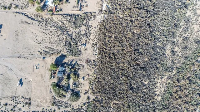 a view of a garden with a bench under an umbrella