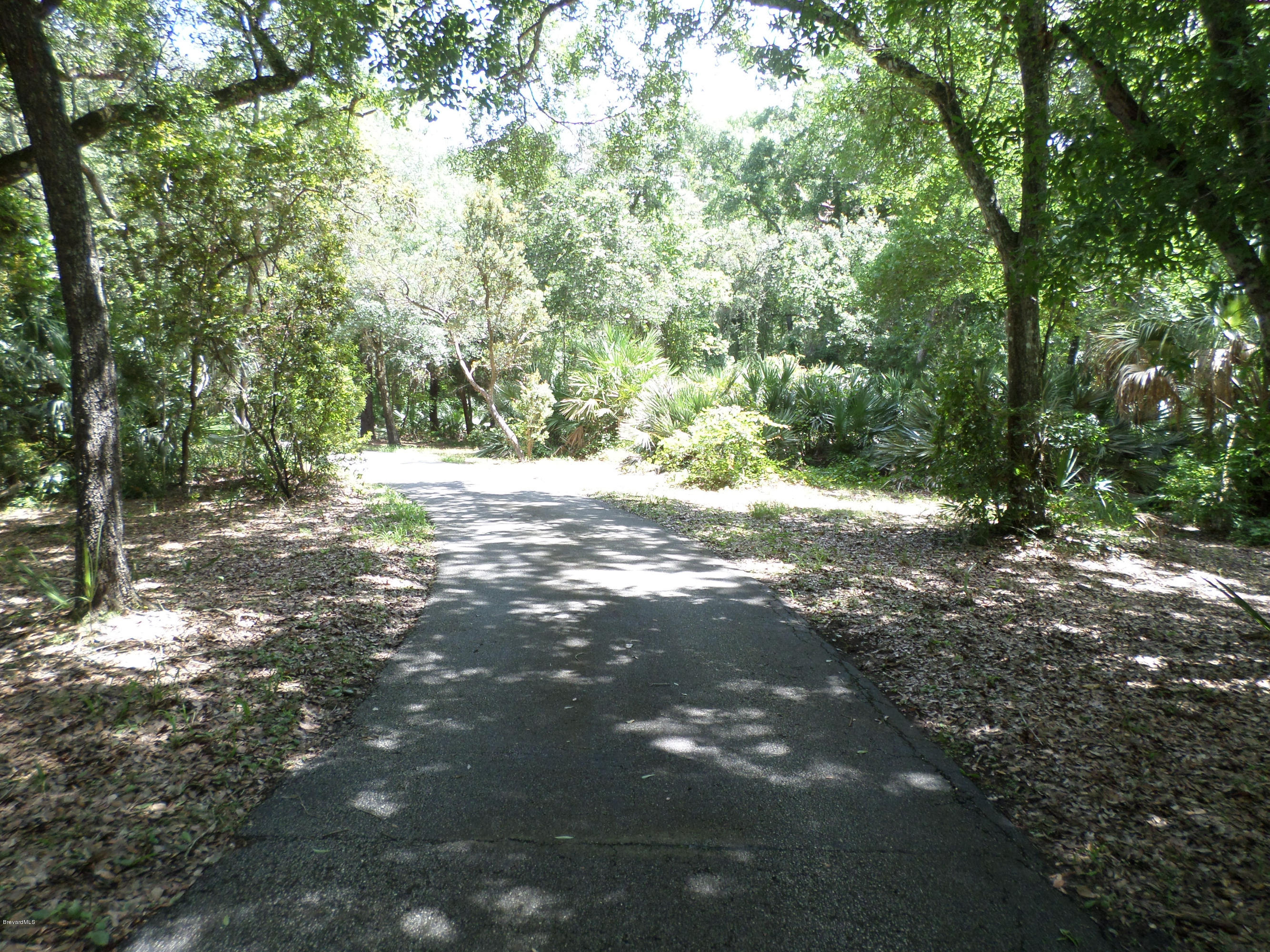 3570 Grant Line Road Mims, FL 32754 - Photo 46 of 48 Driveway