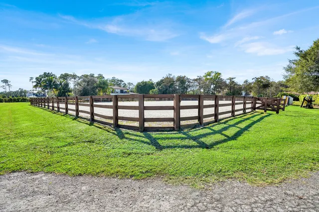 a view of a park with large trees