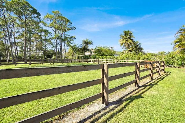 a view of a garden from a lake