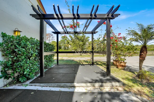 a view of park with large trees