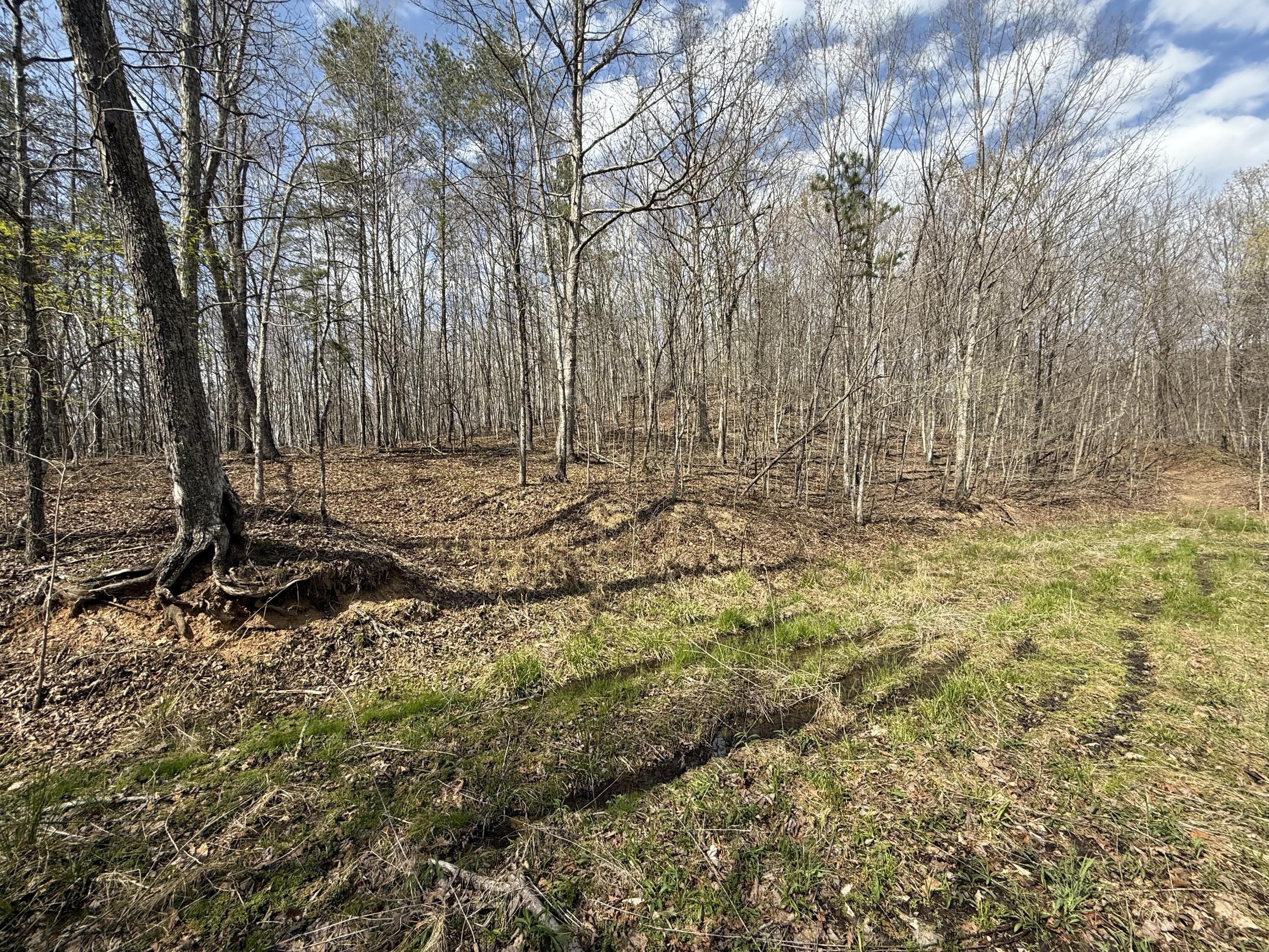 9999 Nineva Road London, KY 40741 - Photo 15 of 17 IMG_0310