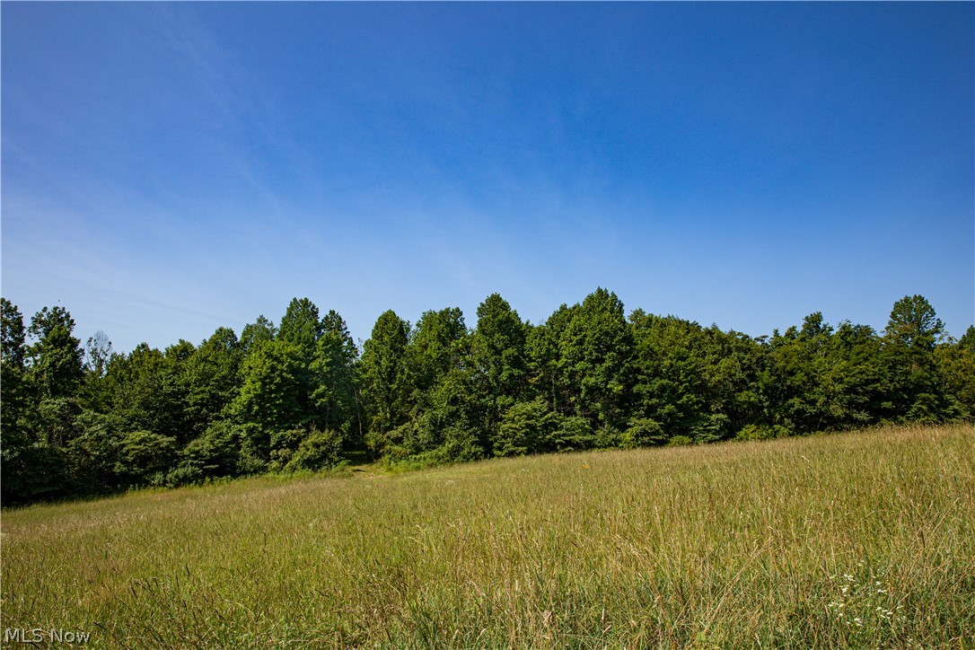 27339 Tabor Ridge Road Caldwell, OH 43724 - Photo 25 of 50