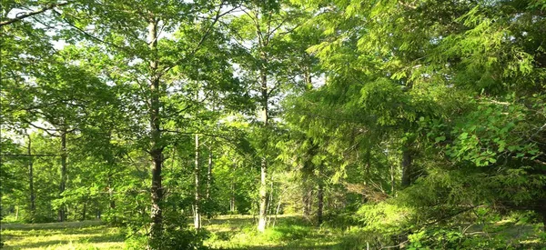 $69,000 | 83-xxx - Lot 6 Ashwabay Heights Road, Bayfield, WI 54814