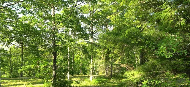 $69,000 | 83-xxx - Lot 6 Ashwabay Heights Road, Bayfield, WI 54814