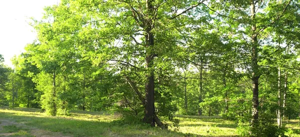 $69,000 | 83-xxx - Lot 6 Ashwabay Heights Road, Bayfield, WI 54814