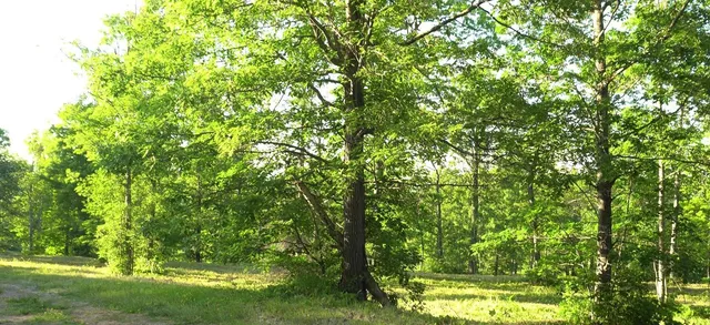 $69,000 | 83-xxx - Lot 6 Ashwabay Heights Road, Bayfield, WI 54814