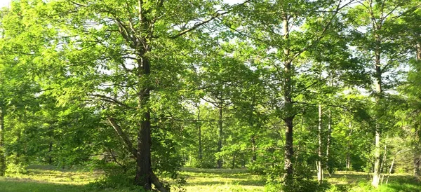 $69,000 | 83-xxx - Lot 6 Ashwabay Heights Road, Bayfield, WI 54814