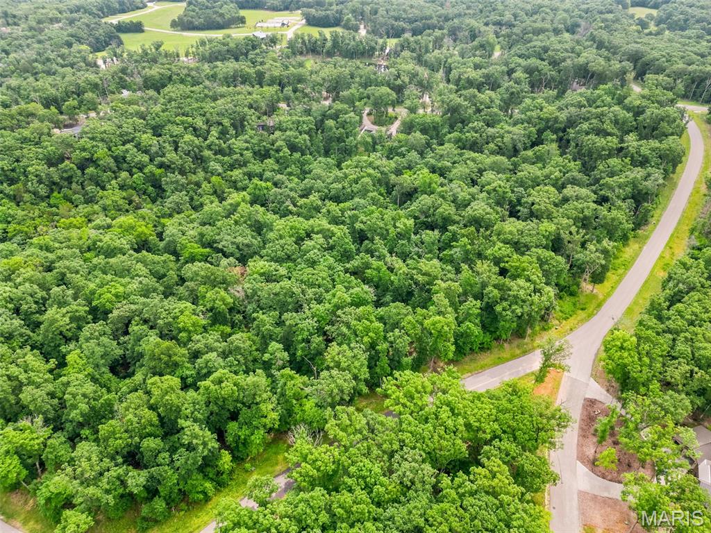 2835 Tyrolean Way Drive Innsbrook, MO 63390 - Photo 5 of 9