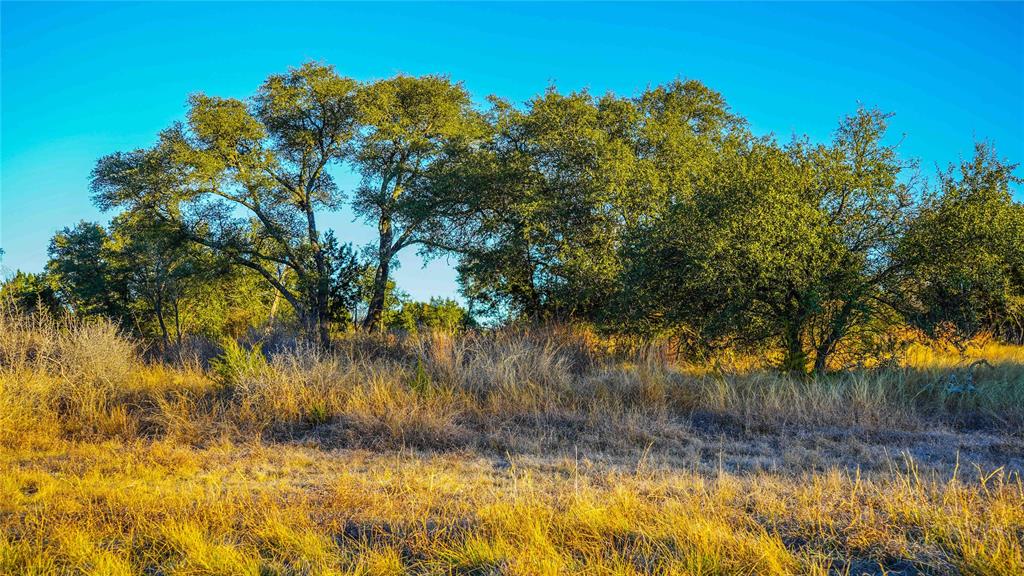 391 County Road 4717 Kempner, TX 76539 - Photo 34 of 40 a view of a yard