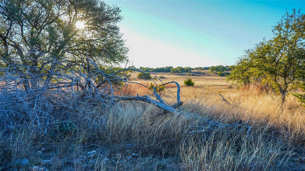 391 County Road 4717 Kempner, TX 76539 - Photo 36 of 40 a lake view with tall trees