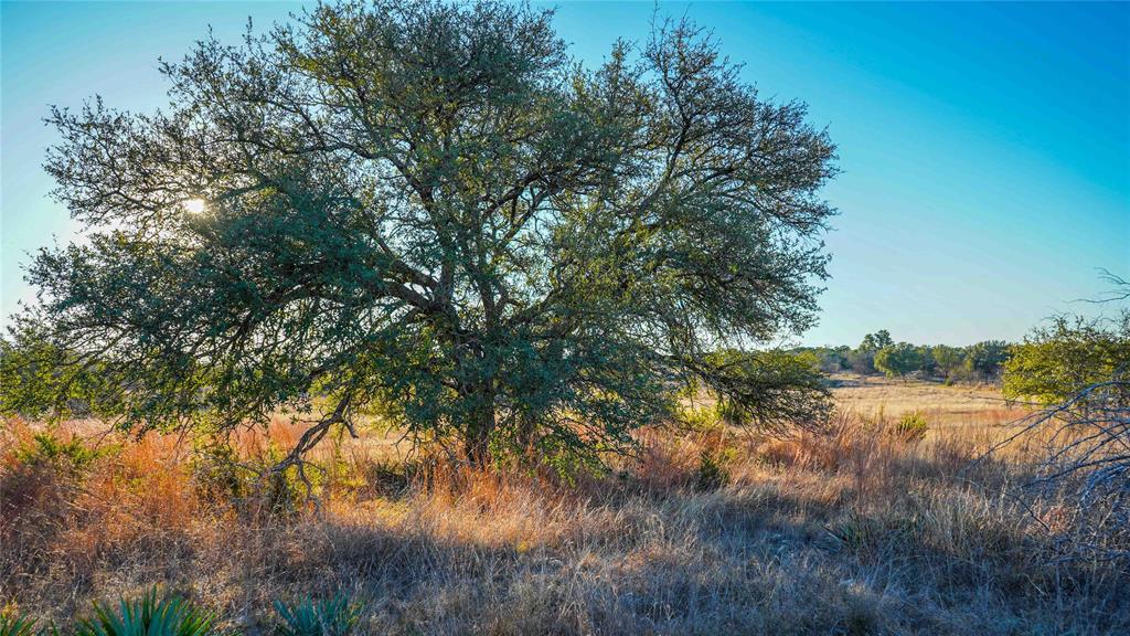 391 County Road 4717 Kempner, TX 76539 - Photo 37 of 40 a view of a lake with beach and green space