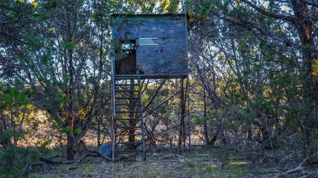 391 County Road 4717 Kempner, TX 76539 - Photo 38 of 40 a view of a tree in front of a tree