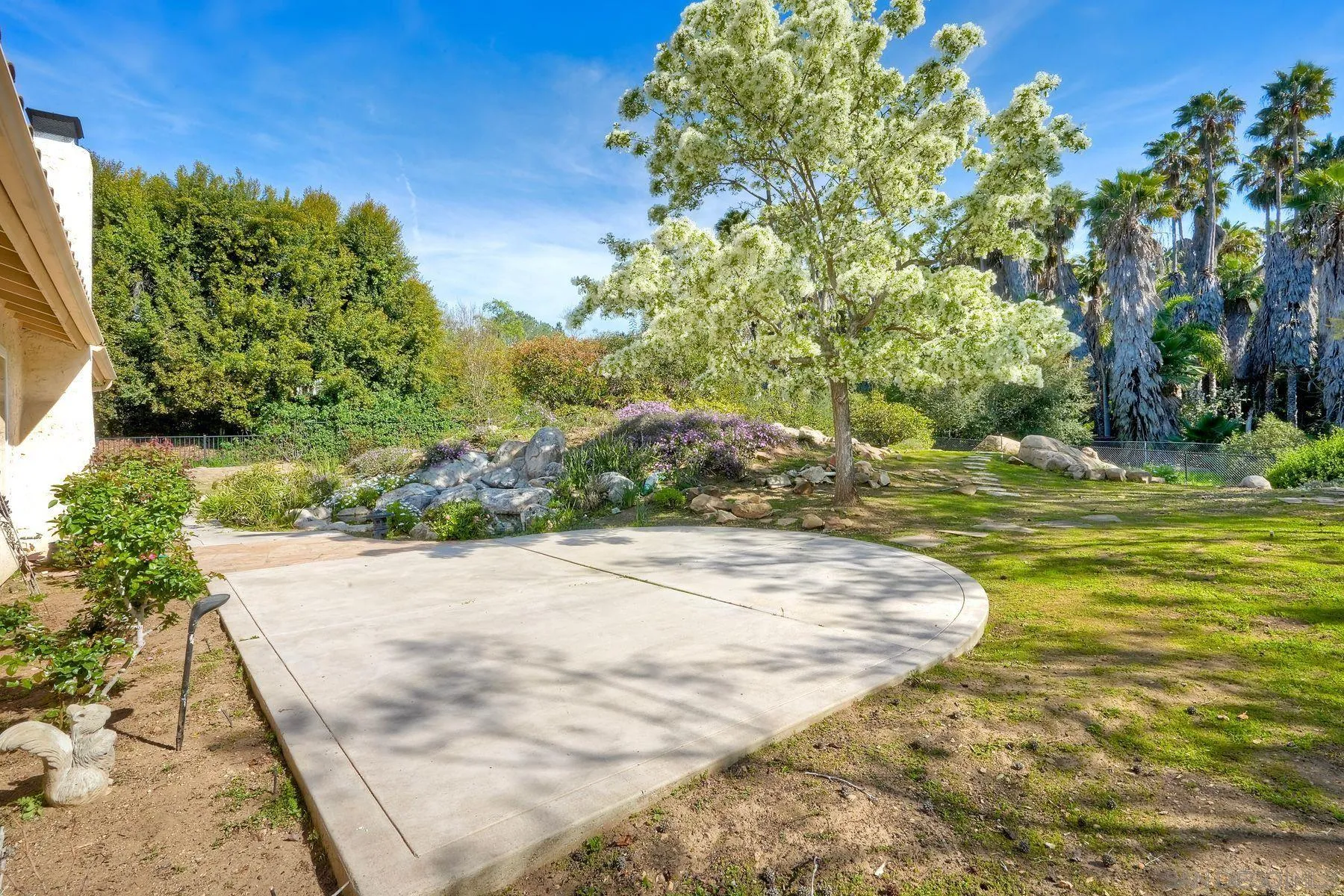 13145 Silver Saddle Lane Poway, CA 92064 - Photo 30 of 53 a view of a yard with plants and large trees