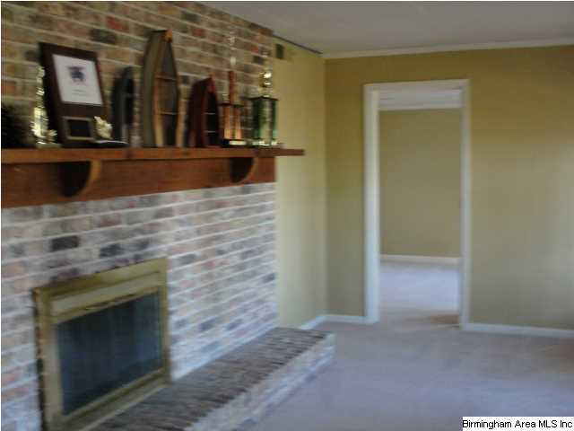 3521 Crestbrook Road Birmingham, AL 35223 - Photo 10 of 12