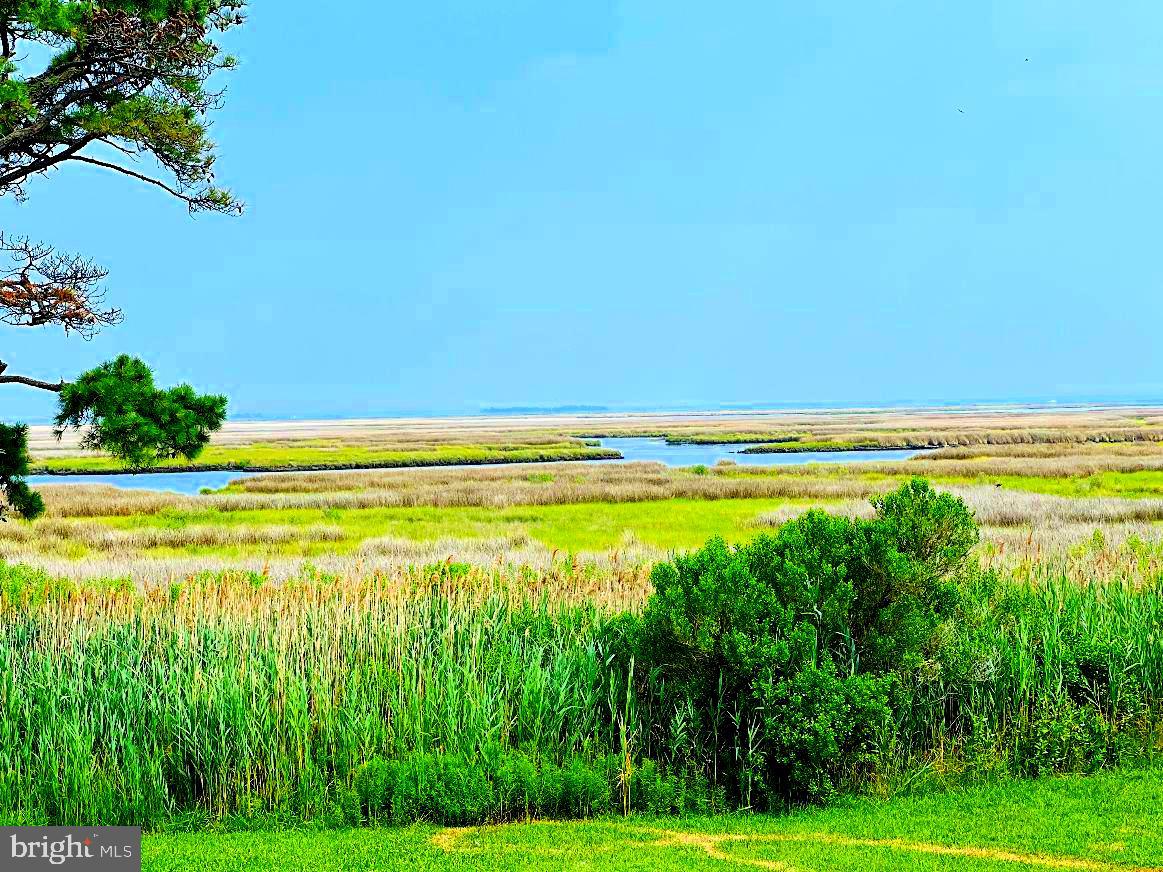23391 Custom House Road Deal Island, MD 21821 - Photo 49 of 64 Eastern Water Views from the FNC